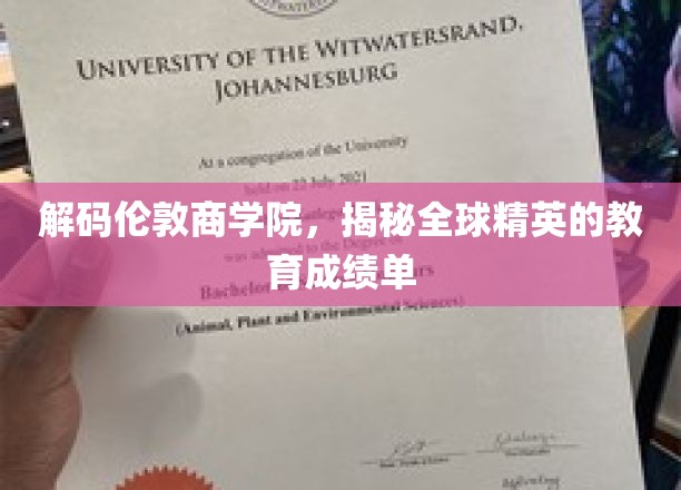 探寻伦敦商学院，揭开全球商业领袖的智慧之门