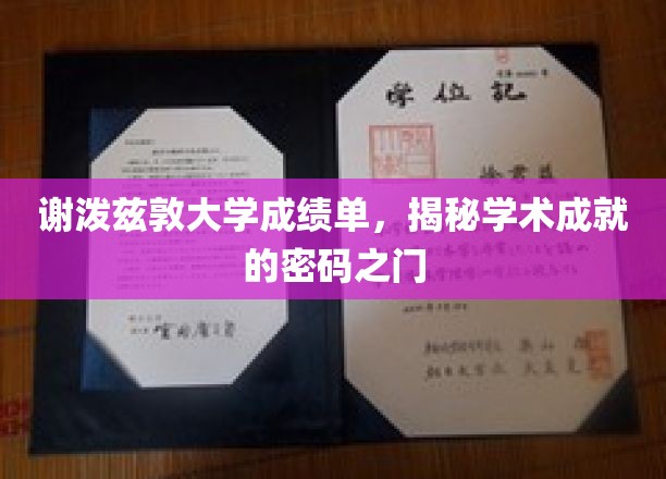 谢泼兹敦大学成绩单，揭开学术成就的密码之门