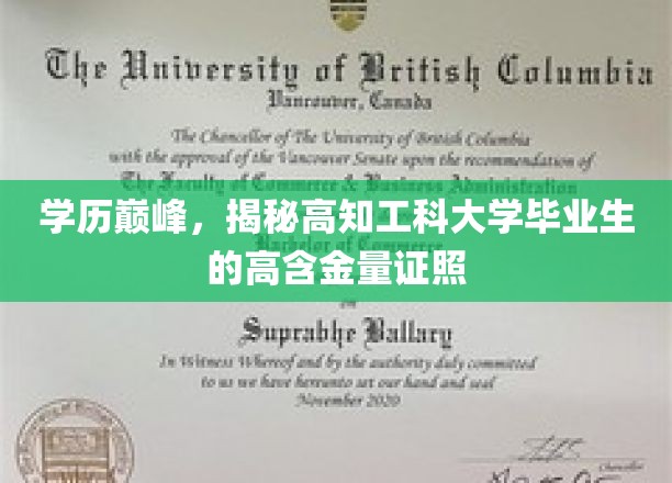 高学历光环下的实力见证，揭秘工科高材生热门高含金量证照盘点