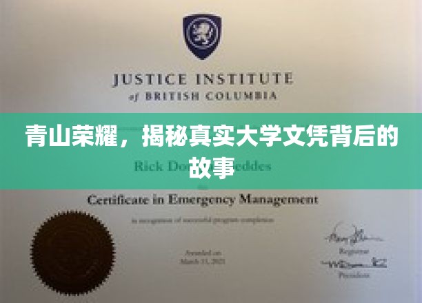 青山荣耀，揭开真实大学文凭背后的故事
