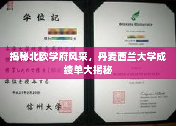 探寻丹麦西兰大学的北欧教育魅力，揭秘隐藏的成绩单故事