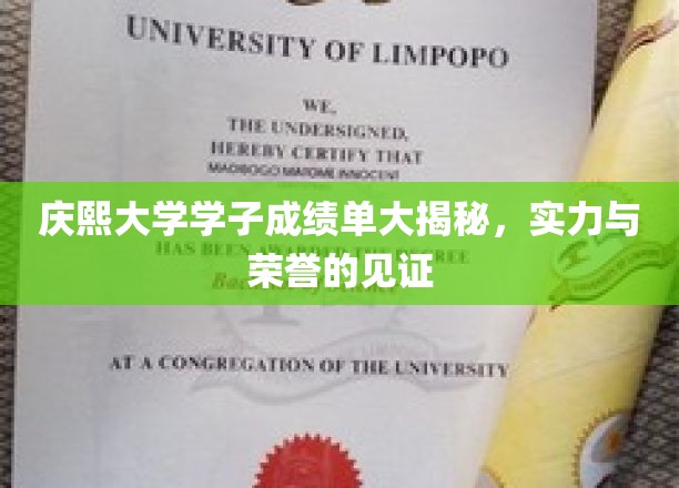 庆熙大学学子成绩单大揭秘，实力与荣誉的见证
