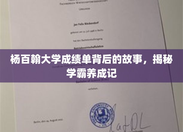杨百翰学霸之路，揭秘非凡成绩单背后的成长历程