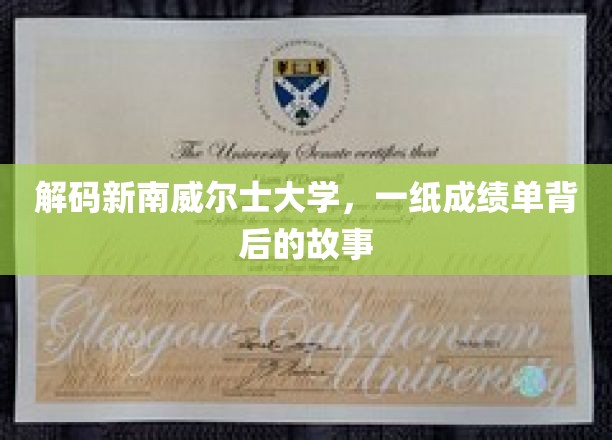 解码未来精英，新南威尔士大学成绩单里的秘密世界