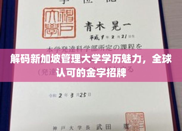 揭秘新加坡管理大学，全球瞩目的学历认证之光