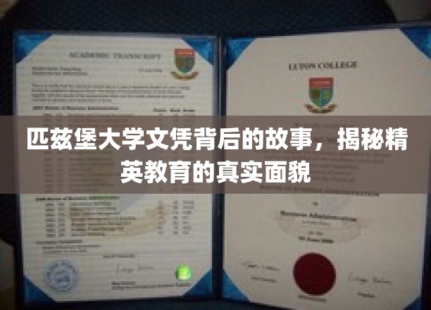 匹兹堡大学文凭背后，探寻精英教育背后的秘密世界