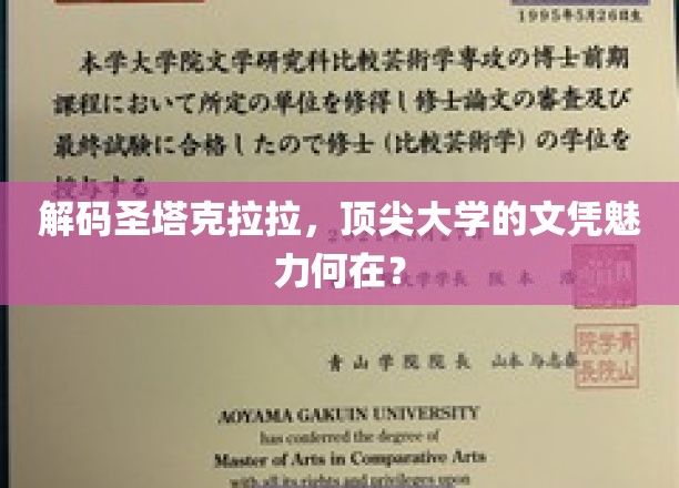 探寻圣塔克拉拉大学，精英教育的秘密武器