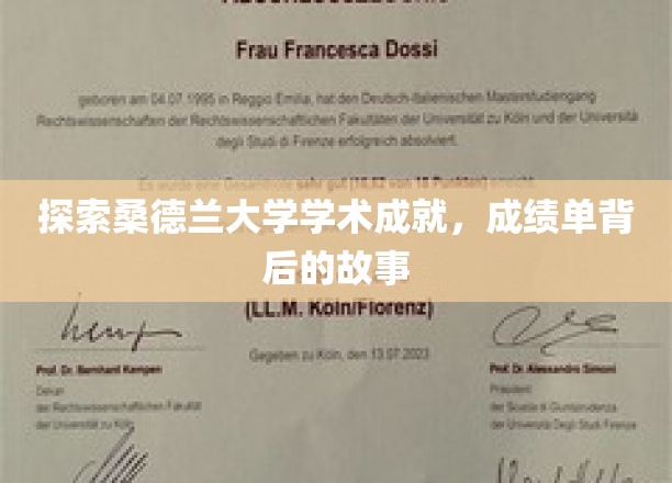 揭开桑德兰大学辉煌成就的神秘面纱，那些不为人知的奋斗历程