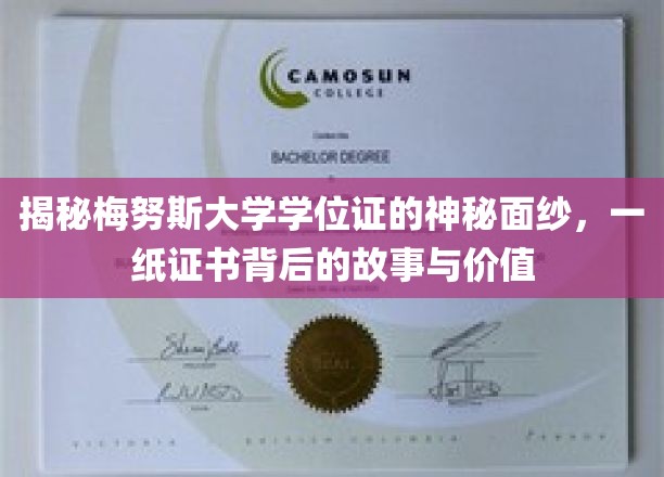 探寻梅努斯大学学位证的非凡魅力，揭开成就背后的传奇故事