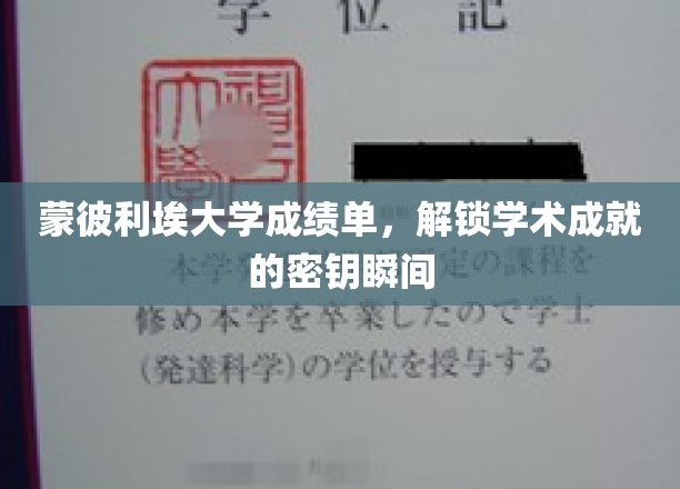 蒙彼利埃大学成绩单，开启学术成就的钥匙时刻