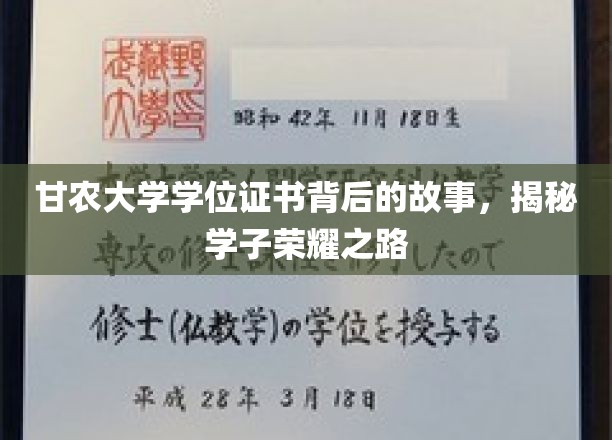 甘农荣耀，学位证书背后的学子奋斗传奇