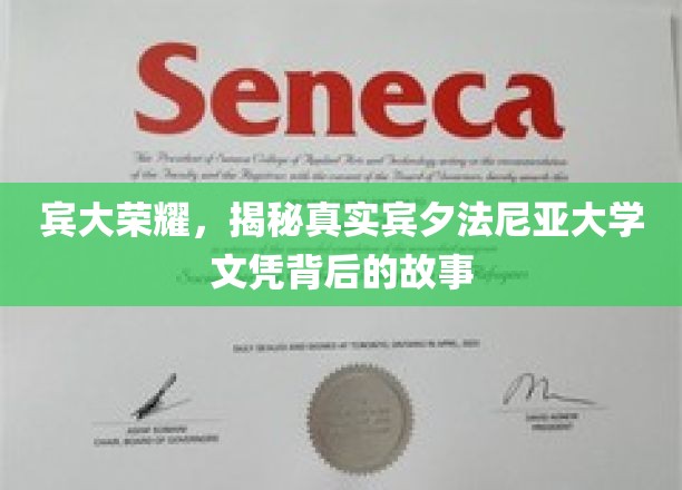 解码宾大荣耀，宾夕法尼亚大学文凭背后的传奇之谜