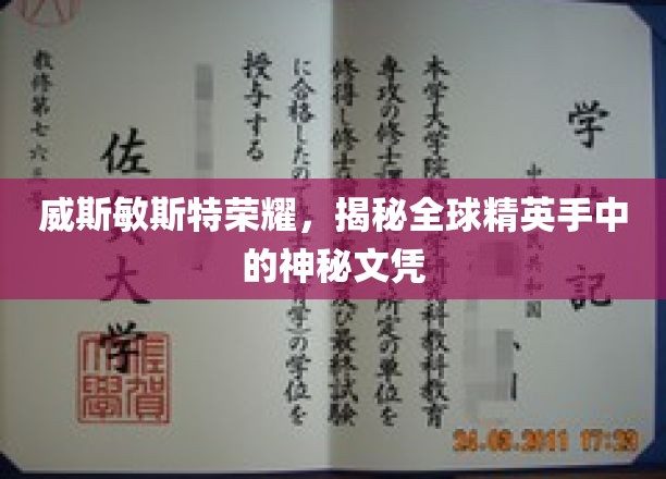 威斯敏斯特荣耀，揭秘全球精英手中的神秘文凭