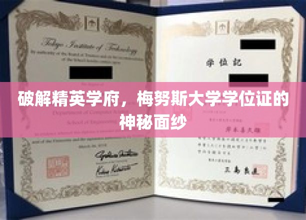 破解精英学府，梅努斯大学学位证的神秘面纱