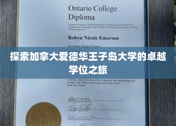 解锁加拿大爱德华王子岛大学，卓越学位的探索之旅