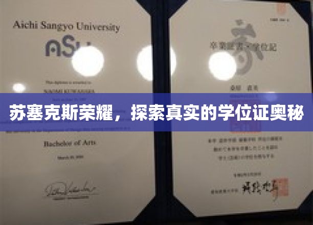 揭开苏塞克斯荣耀背后的学位证秘密之旅