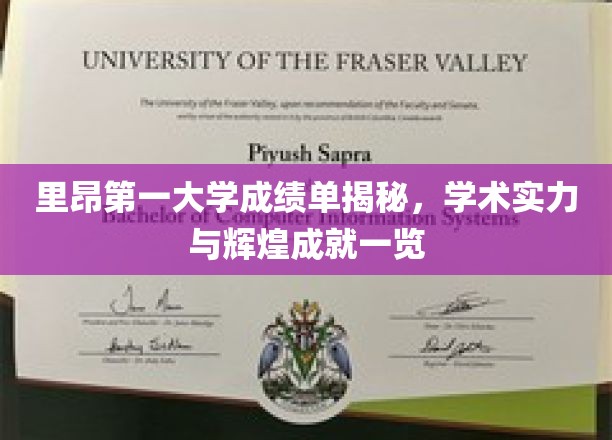 里昂第一大学成绩单揭秘，学术实力与辉煌成就一览