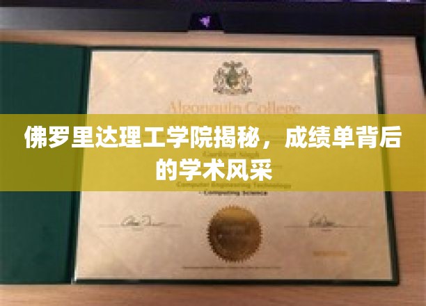 解码佛罗里达理工学院，一窥卓越学子的学术之光