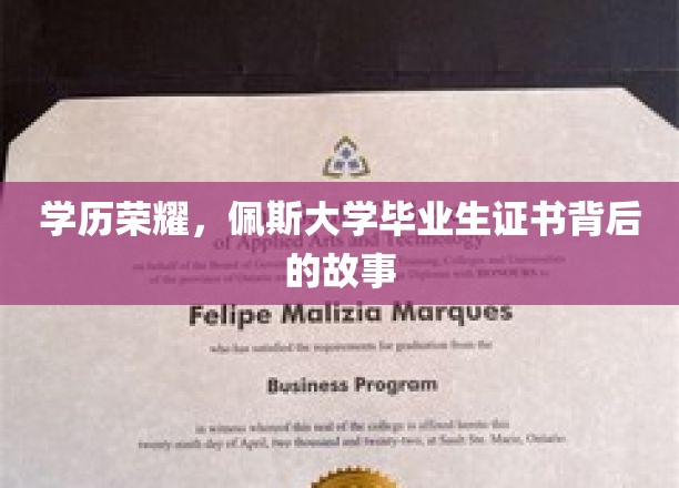 探寻佩斯大学证书背后的荣耀之路