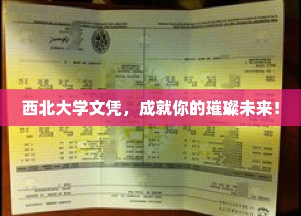 西北名校荣耀，毕业文凭开启璀璨生涯新篇章！