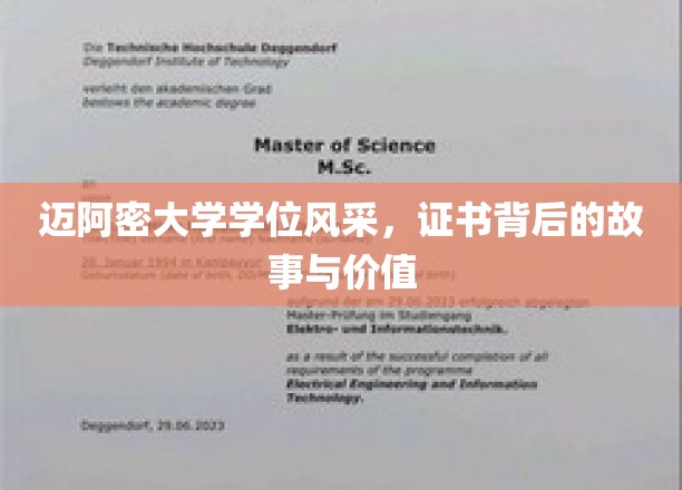迈阿密大学学位风采，证书背后的故事与价值