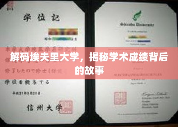 探寻埃夫里大学成绩奥秘，揭秘学霸背后的真实故事