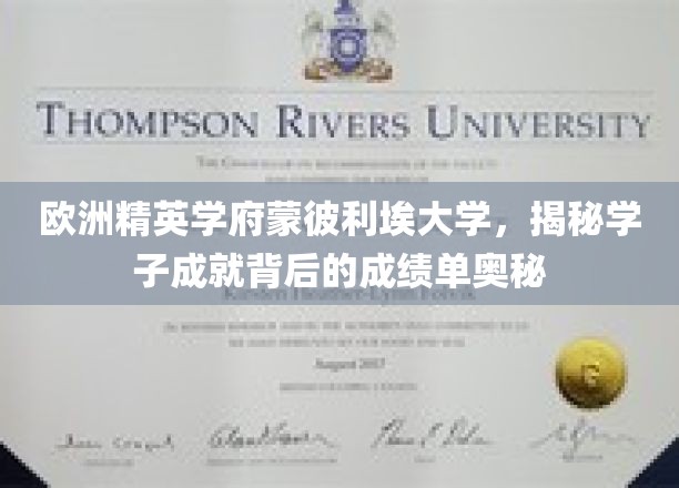欧洲精英学府蒙彼利埃大学，揭秘学子成就背后的成绩单奥秘