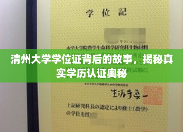 清州大学学位证背后的故事，揭秘真实学历认证奥秘