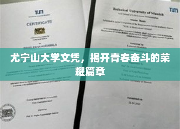 尤宁山传奇，青春荣耀，文凭见证奋斗之路