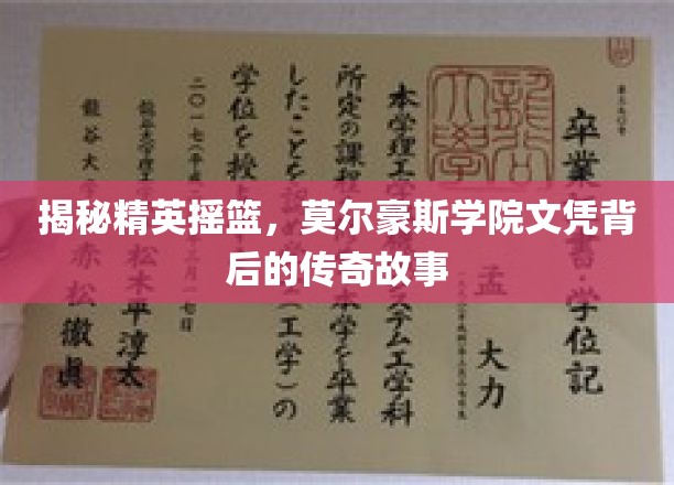 解码莫尔豪斯，揭秘顶尖学府背后的辉煌历程
