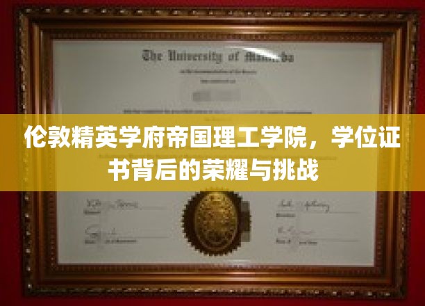 解码帝国理工学院，荣耀证书背后的学术传奇
