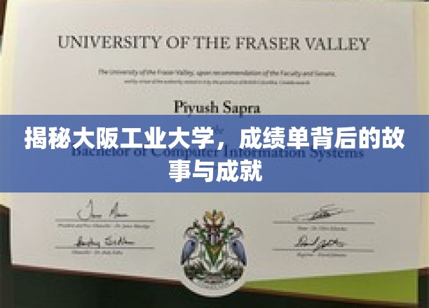 探索大阪工业大学，揭开学生成绩背后的辉煌成就与感人故事
