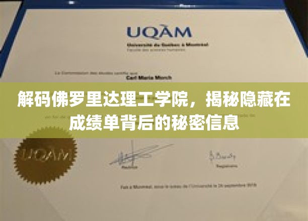 解码佛罗里达理工学院，揭秘隐藏在成绩单背后的秘密信息