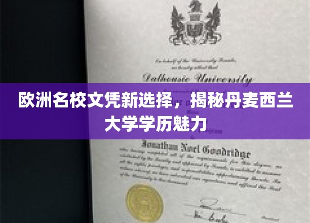 探索丹麦西兰大学，欧洲名校的别样魅力之旅
