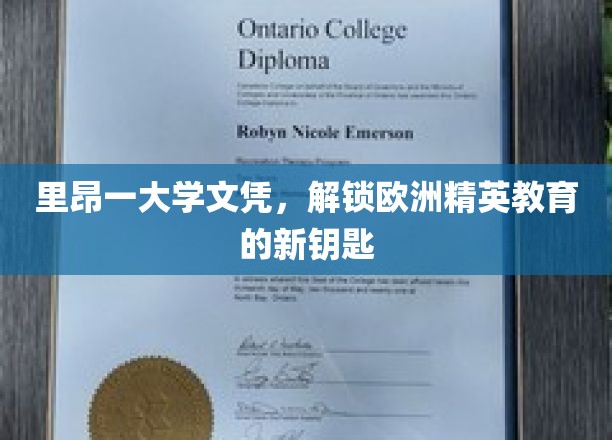 里昂大学文凭，开启欧洲精英教育之门