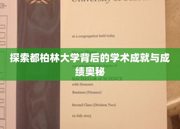 解码都柏林大学，揭秘卓越学术成就的秘密力量