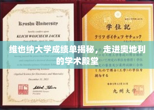 维也纳大学成绩单揭秘，走进奥地利的学术殿堂
