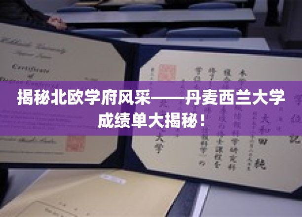 探索北欧学府风采——丹麦西兰大学成绩单深度解读！