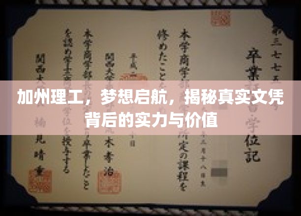 加州理工，梦想起航，揭开真实文凭背后的实力与价值