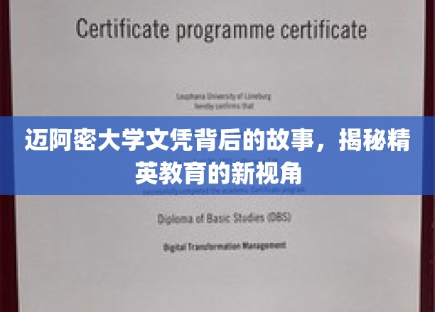 迈阿密大学文凭的幕后传奇，探秘精英教育的深度解读