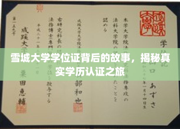 雪城大学学位证背后的传奇，一场探寻真实学历认证的奇妙旅程