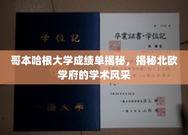 哥本哈根大学成绩单揭秘，探寻北欧学府的学术风采