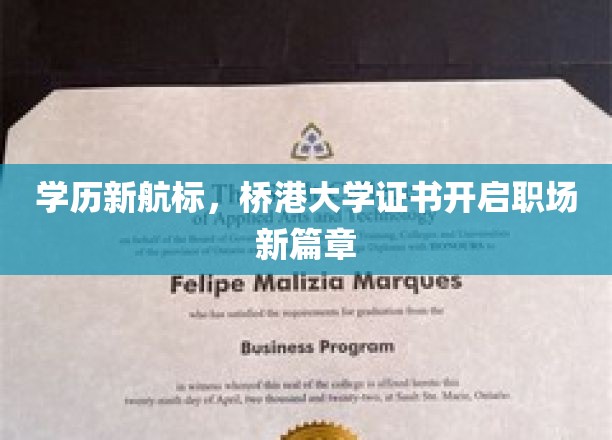 学历新航向，桥港大学证书助力职场跃迁之旅