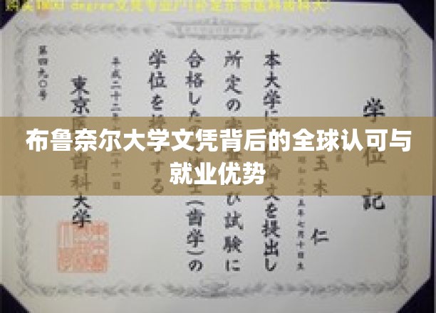 布鲁奈尔大学文凭，国际认可与职场高能利器