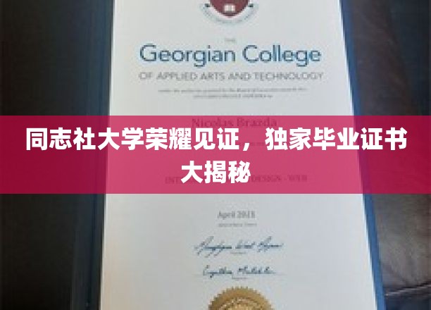 同志社大学毕业证书背后的独家荣耀之谜