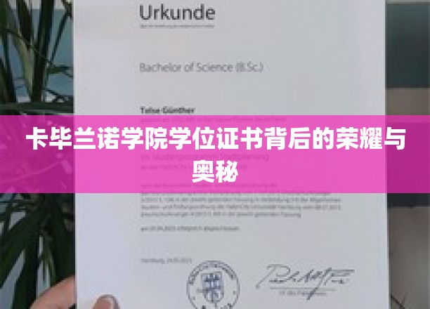 卡毕兰诺学院学位证书背后的荣耀与奥秘