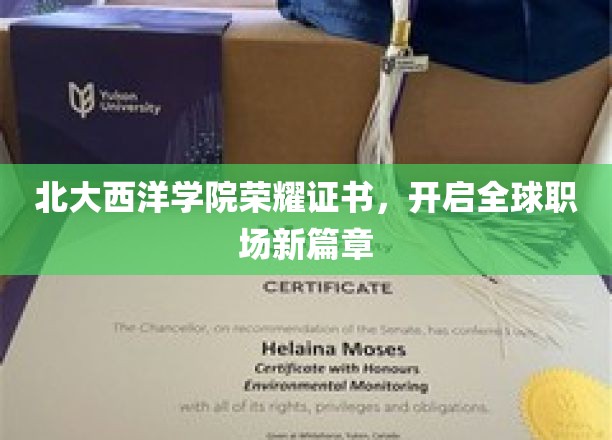 北大西洋学院荣誉证书引领全球职场未来潮流