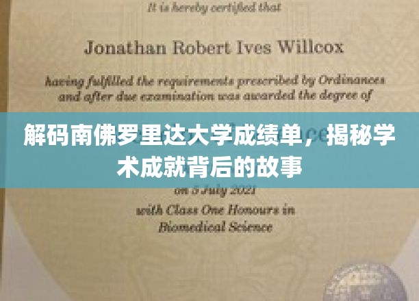 解码南佛罗里达大学成绩单，揭秘学术成就背后的故事