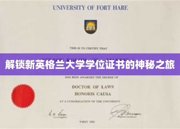 解锁新英格兰大学学位证书的神秘之旅