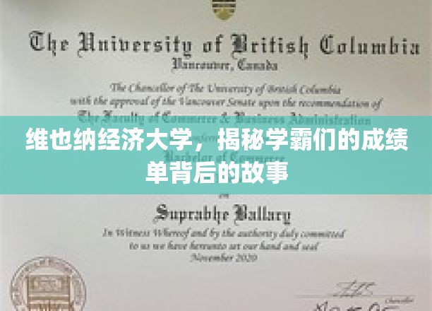 揭开维也纳经济大学学霸成绩单背后的神秘面纱